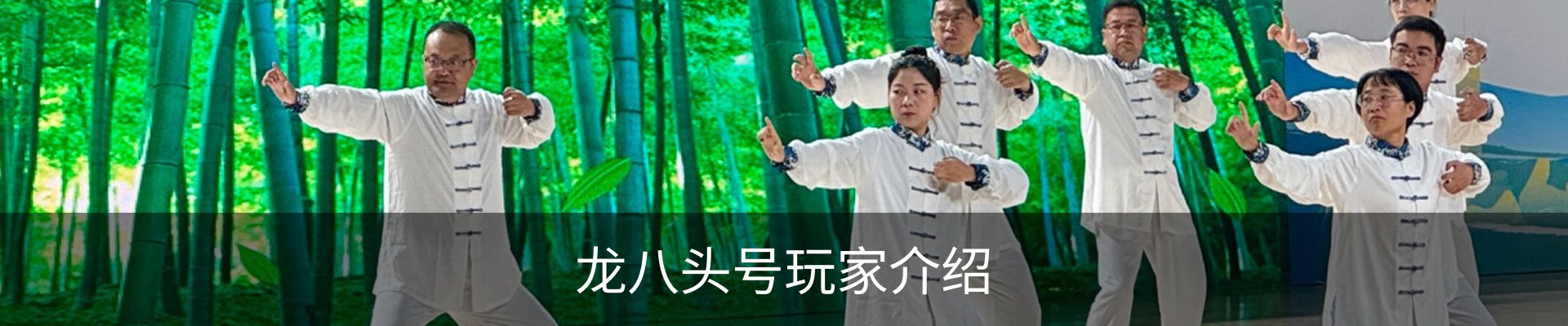 龙八头号玩家介绍